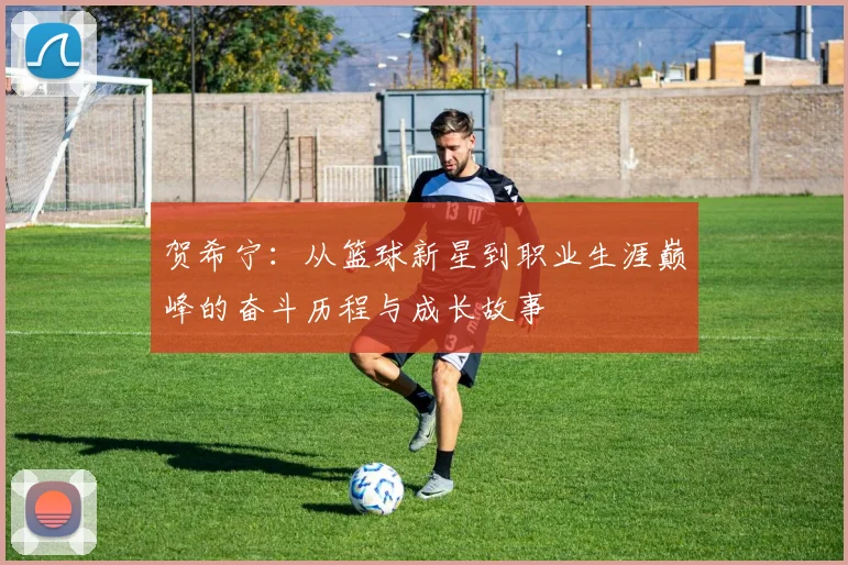 贺希宁：从篮球新星到职业生涯巅峰的奋斗历程与成长故事