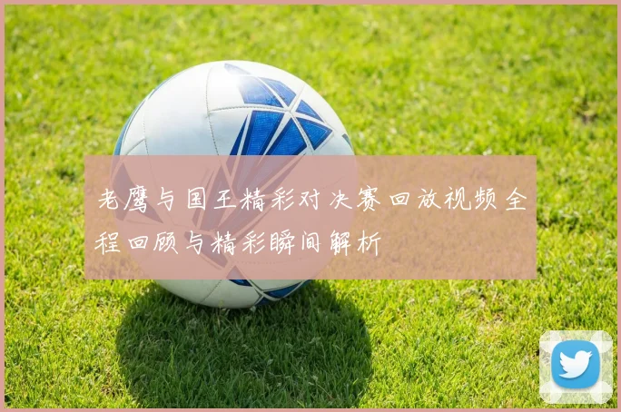 老鹰与国王精彩对决赛回放视频全程回顾与精彩瞬间解析