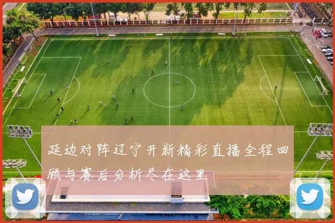 延边对阵辽宁开新精彩直播全程回顾与赛后分析尽在这里