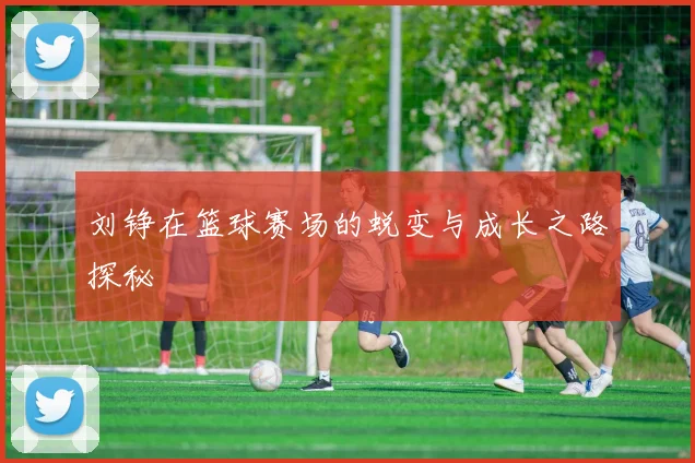 刘铮在篮球赛场的蜕变与成长之路探秘